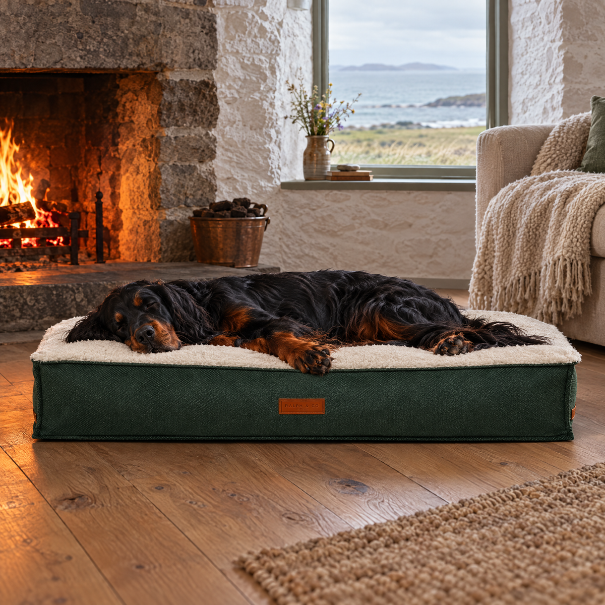 Gordon Setter stretched out on The Richmond Stonewashed Green Pillow Bed by Ralph & Co in a Hebridean croft sitting room
