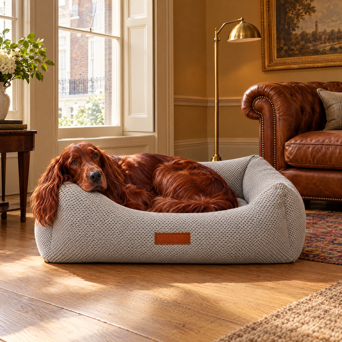Irish Setter curled up in The Highclere Memory Foam Bolster Bed by Ralph & Co in a Marylebone townhouse drawing room