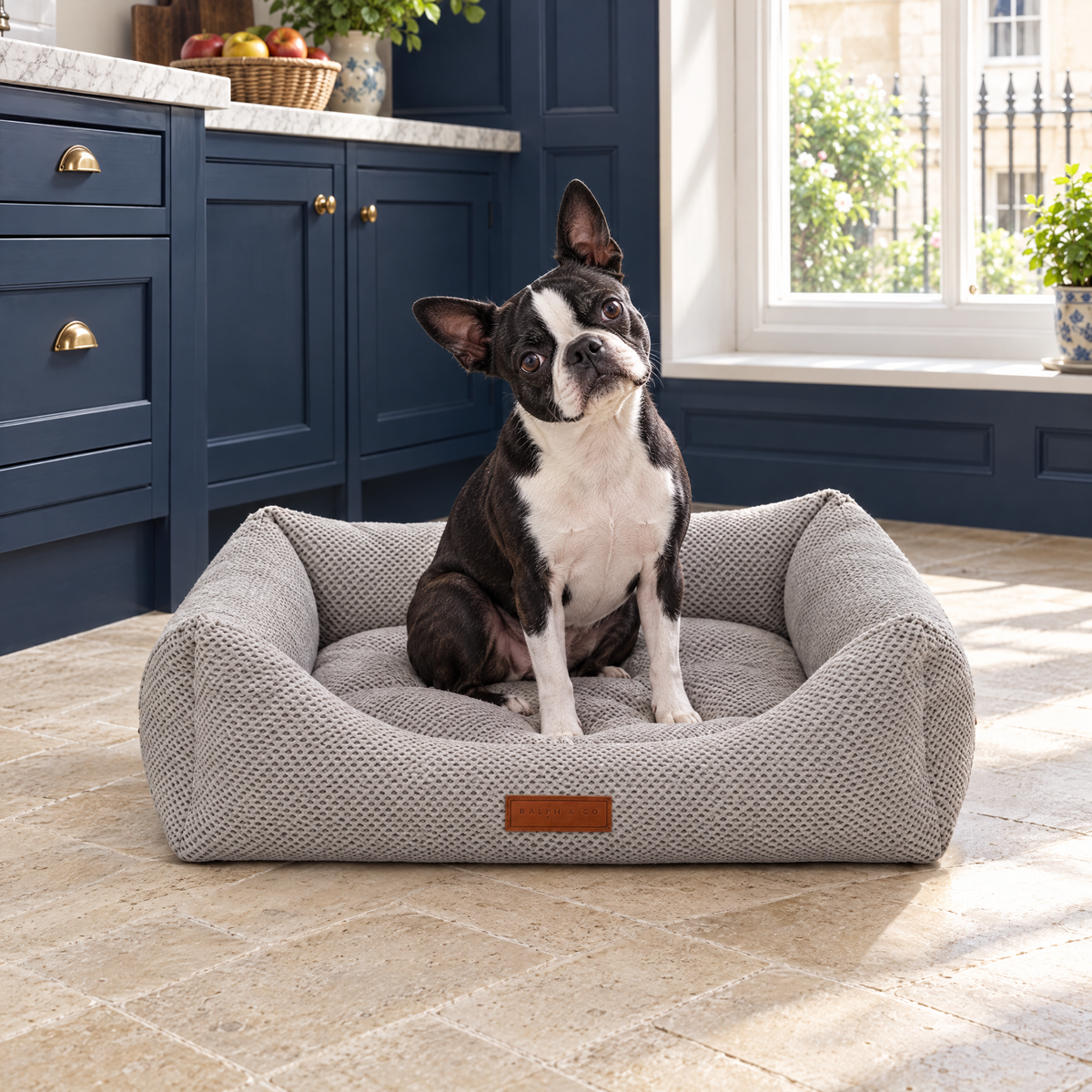 Boston Terrier in the Highclere bolster bed in a Bath crescent kitchen