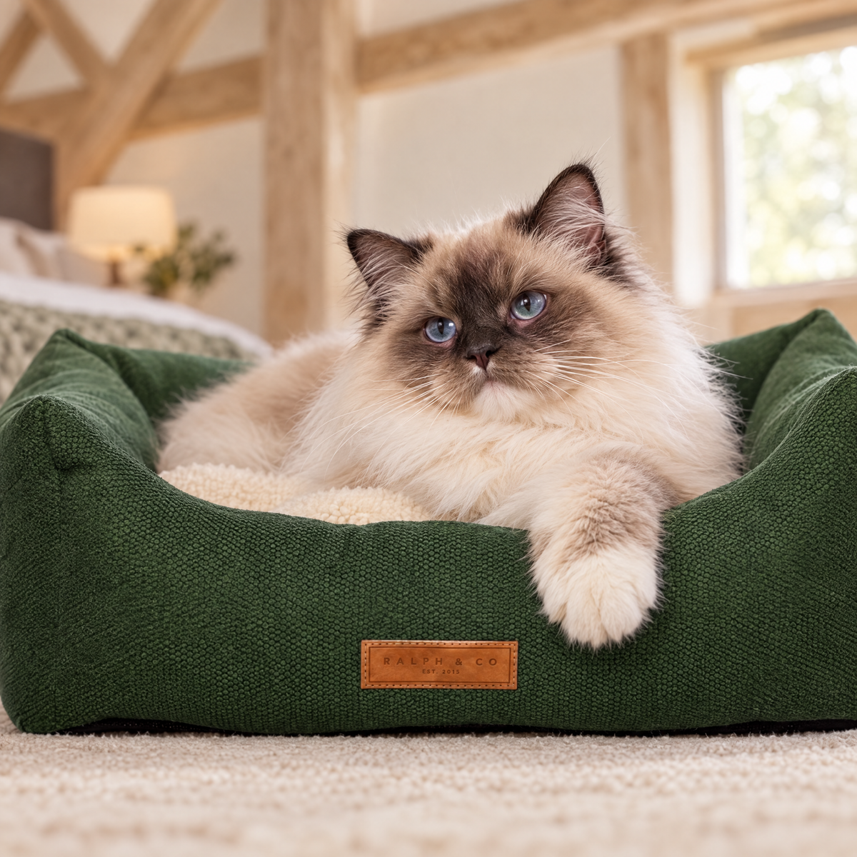 A Ragamuffin cat's paw over the rim of the Richmond green bolster bed