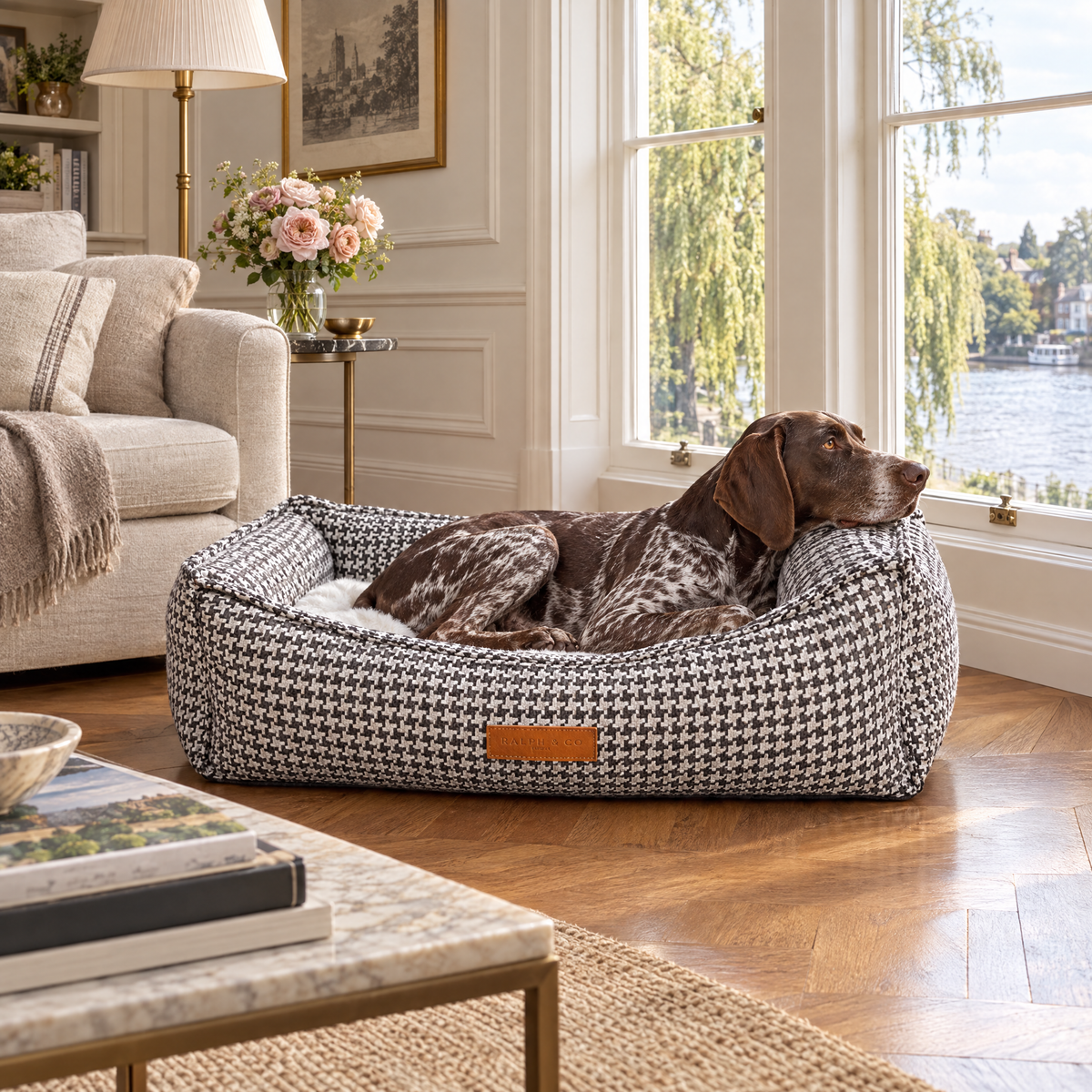 German Shorthaired Pointer in The Kensington Houndstooth Bolster Bed by Ralph & Co in a Richmond riverside sitting room