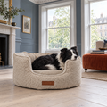 Border Collie curled in The Cotswold High-Wall Boucle Bed by Ralph & Co in an Edinburgh New Town salon