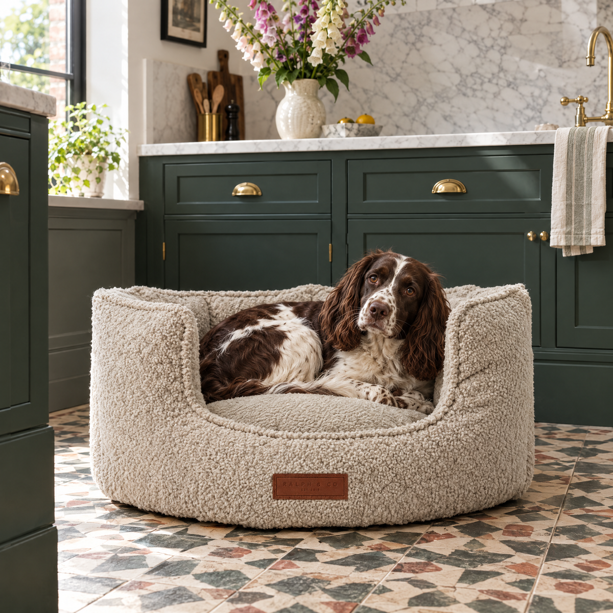 Springer Spaniel in the Cotswold boucle high-wall bed in a Belgravia mews kitchen