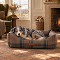 Australian Shepherd in The Marlow Tartan Memory Foam Bolster Bed by Ralph & Co in a Hampstead Georgian snug