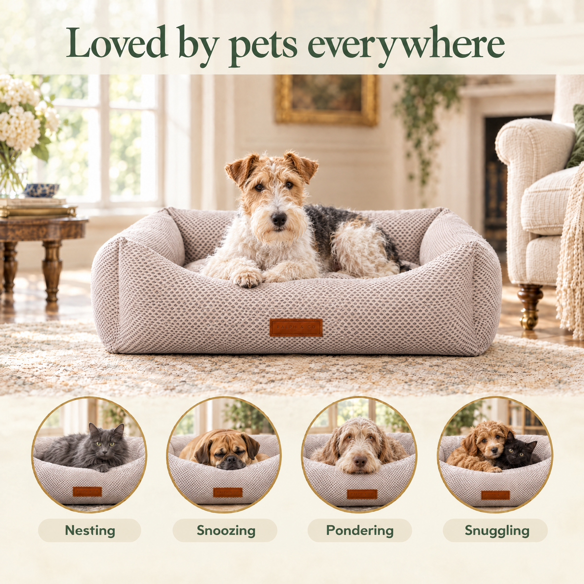 Loved by pets everywhere: a Wire Fox Terrier on the Chatsworth bolster bed by Ralph & Co, for nesting, snoozing, pondering, snuggling