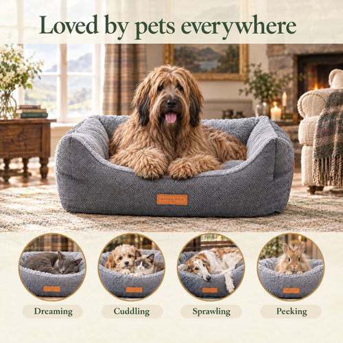 Loved by pets everywhere: a Briard on the Balmoral herringbone bolster bed by Ralph & Co, for dreaming, cuddling, sprawling, peeking