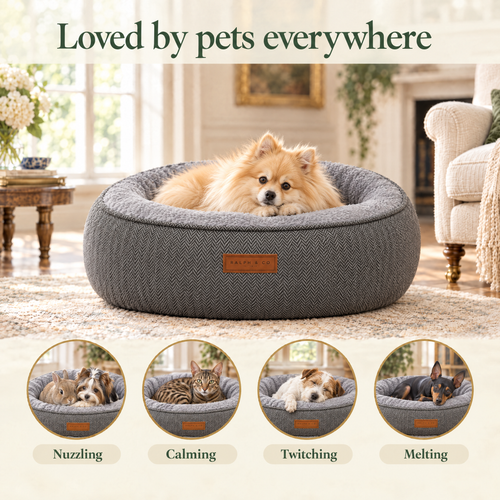 Loved by pets everywhere: a German Spitz in the Balmoral donut bed by Ralph & Co, for nuzzling, calming, twitching, melting