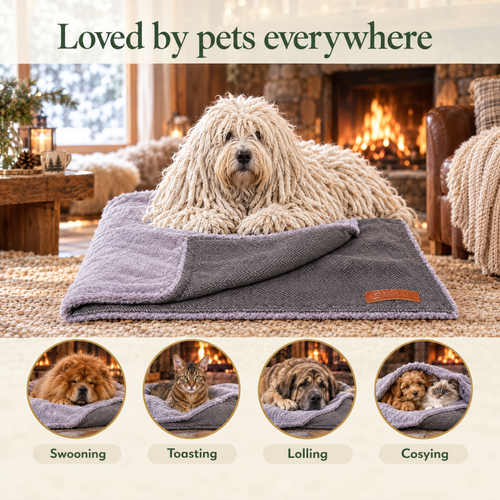 Loved by pets everywhere: a Komondor on the Balmoral herringbone blanket by Ralph & Co, for swooning, toasting, lolling, cosying