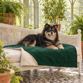 Finnish Lapphund on the Richmond Green Stonewashed & Sherpa Reversible Blanket by Ralph & Co in a Victorian conservatory