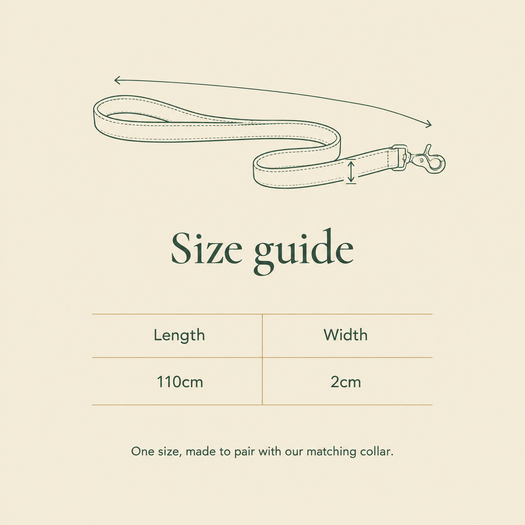 Size guide for The Pink Vegan Leather Dog Lead by Ralph & Co: 110cm long, 2cm wide