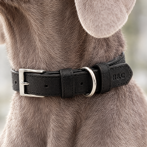 Close-up of the black vegan leather collar, its stitching, buckle and embossed monogram