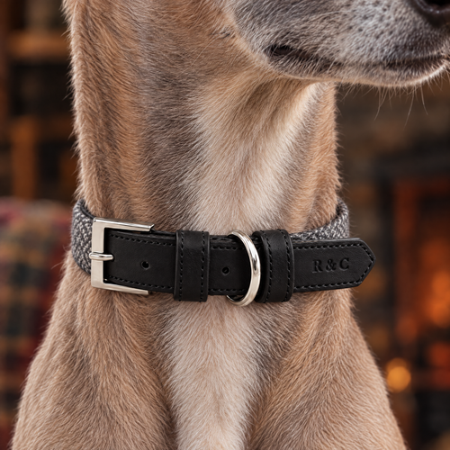 Close-up of The Balmoral collar by Ralph & Co: black leather buckle strap with embossed R&C tab, grey herringbone tweed band beyond the buckle