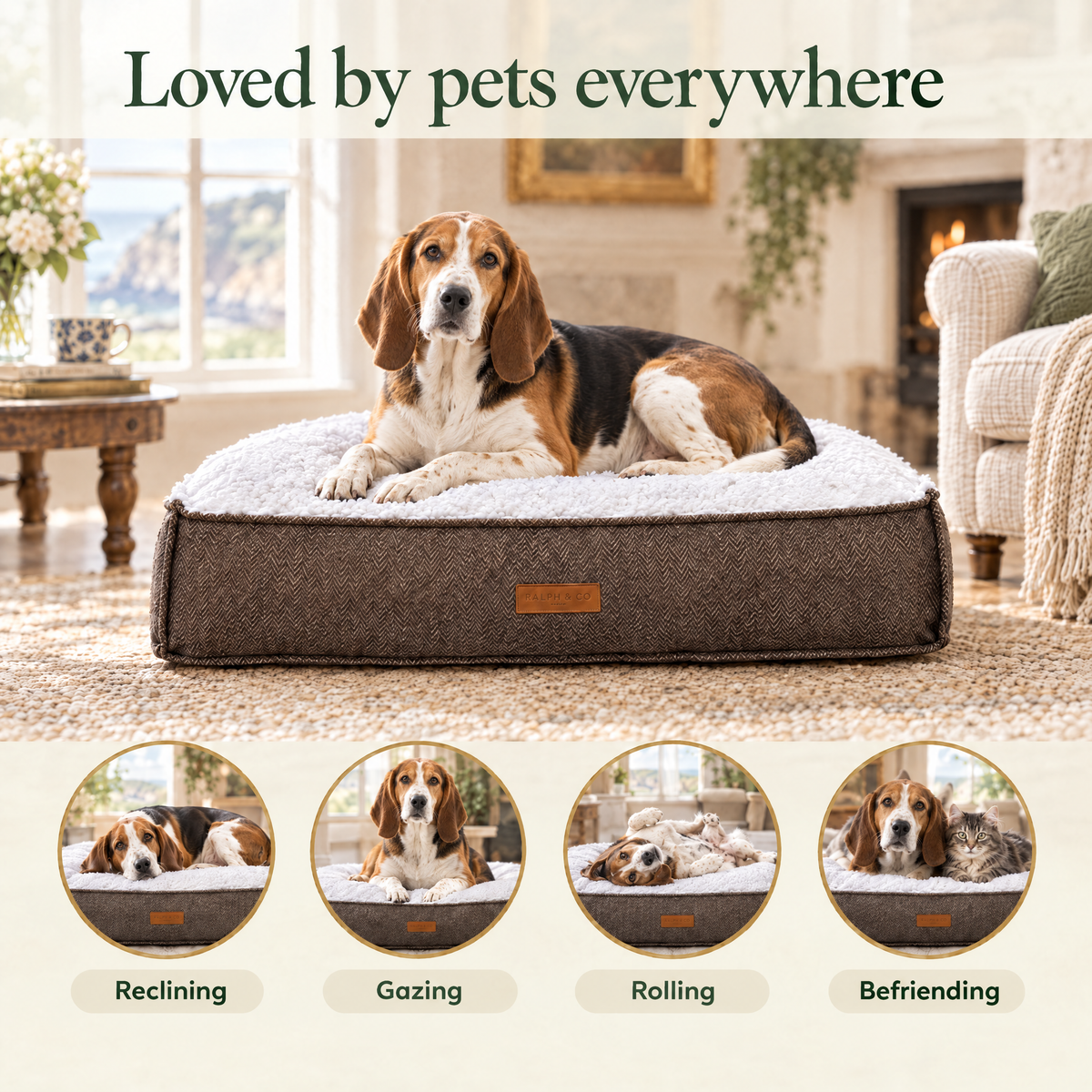 Loved by pets everywhere: a Harrier hound on the Lincoln tweed pillow bed by Ralph & Co, for reclining, gazing, rolling, befriending