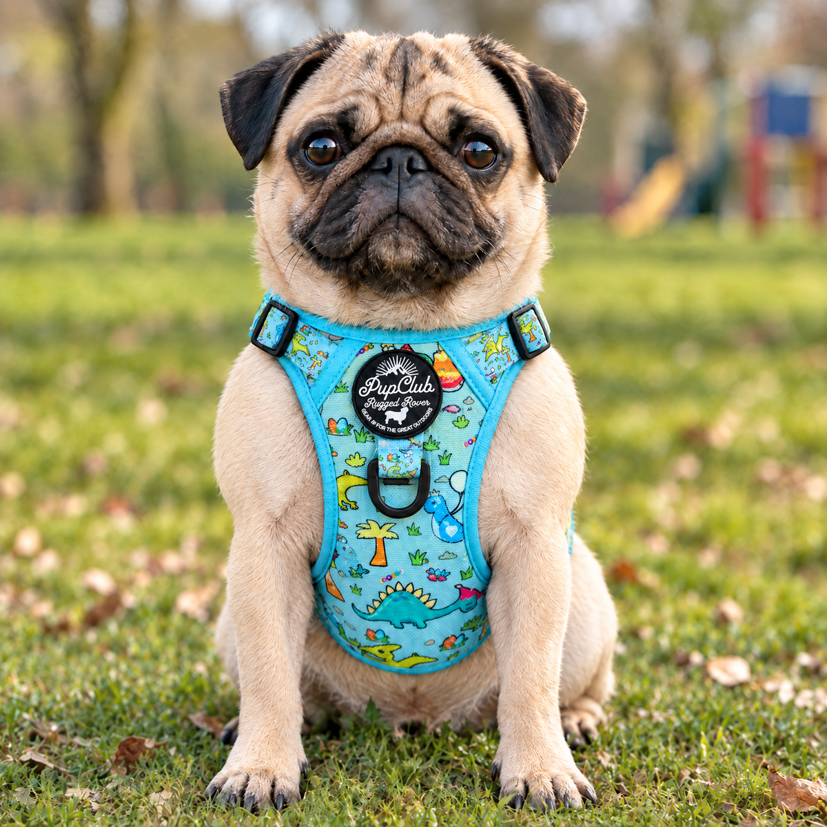 Pug wearing the Jurassic Party Rugged Rover dog harness by PupClub Couture, front view showing the chest panel and badge