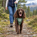 Evergreen Trails PupClub lead on a dog walk