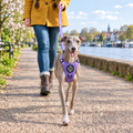 Dog out on a walk in the Lilac Blush Rugged Rover dog harness by PupClub with matching lead