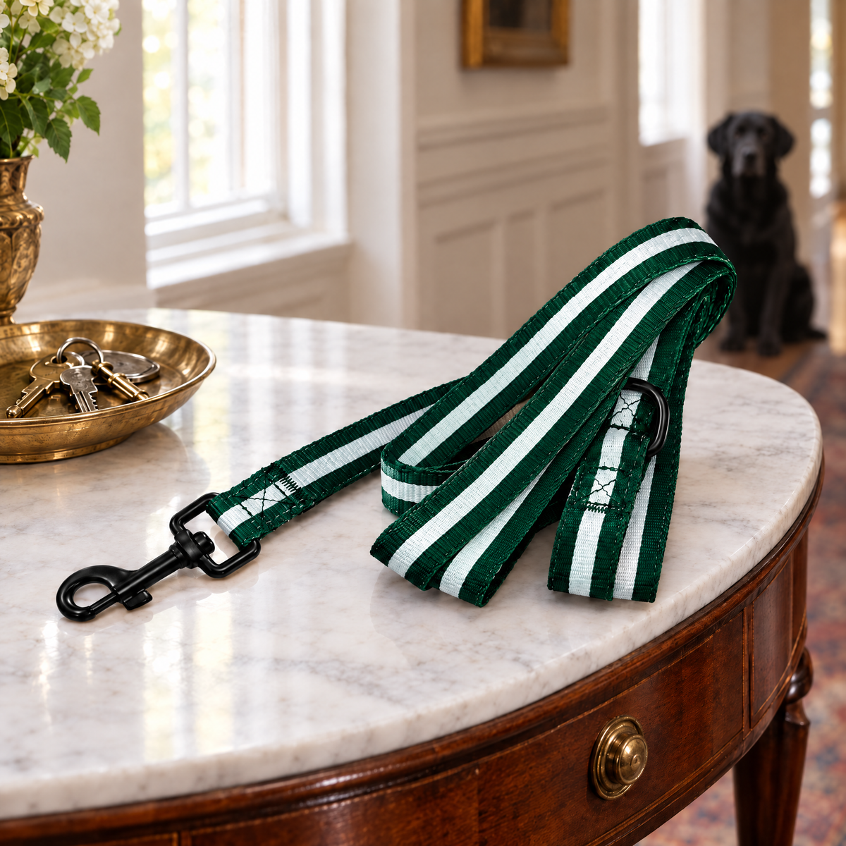 The Forest Green dog lead by PupClub on a hallway console with a black Labrador waiting by the door