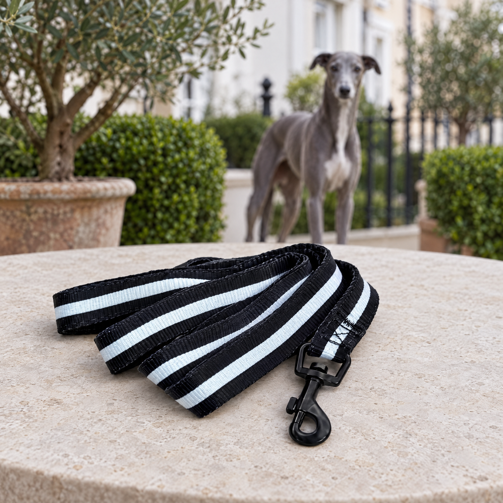 Midnight Black PupClub dog lead