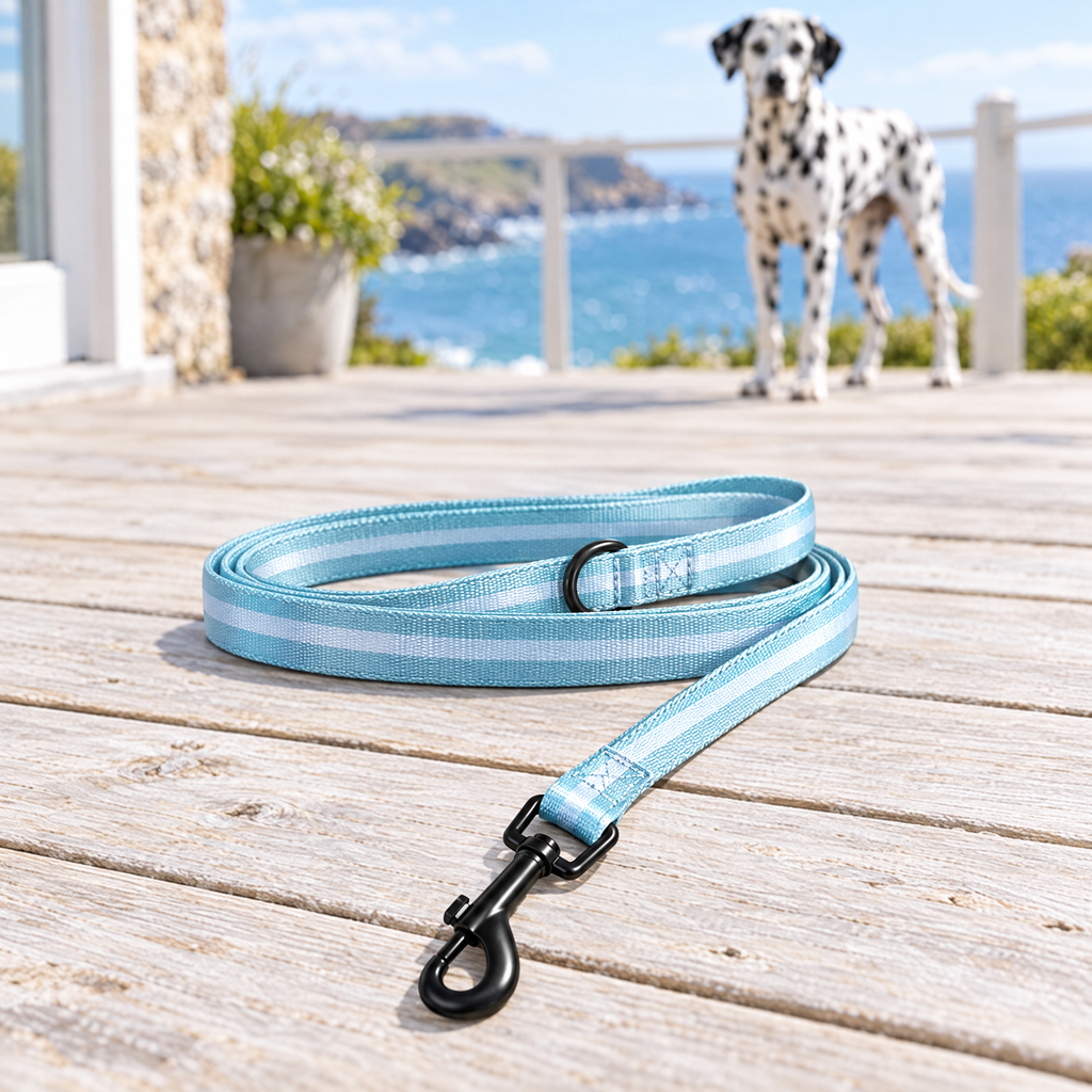 Pastel Blue PupClub dog lead