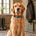 Golden Retriever sitting in a Cotswold boot room wearing The Forest Green Dog Collar by PupClub Couture