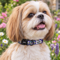 Close-up of The Summer Meadow Dog Collar by PupClub Couture on a Shih Tzu, showing the buckle and D-ring