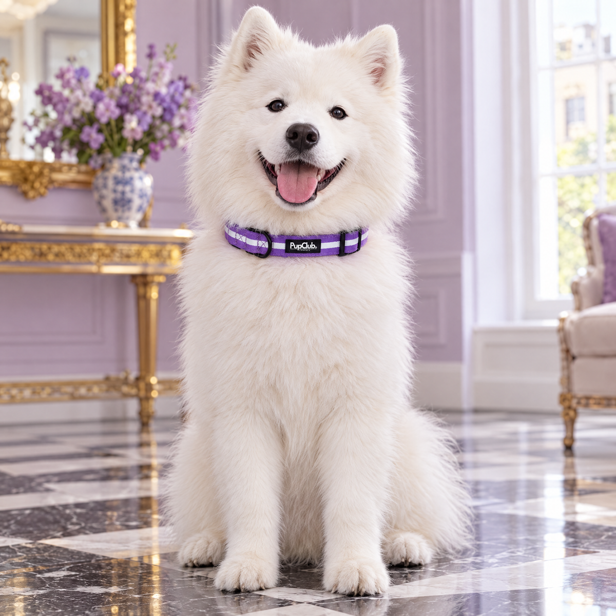 Samoyed sitting in a lilac Belgravia drawing room wearing The Lilac Blush Dog Collar by PupClub Couture
