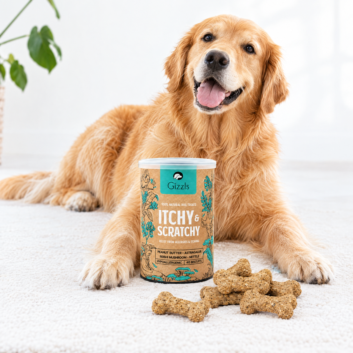 Tub of Itchy and Scratchy Dog Treats by Gizzls with treats on a cream background