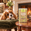 Cavalier King Charles Spaniel gazing longingly at a tub of Calming Dog Treats by Gizzls