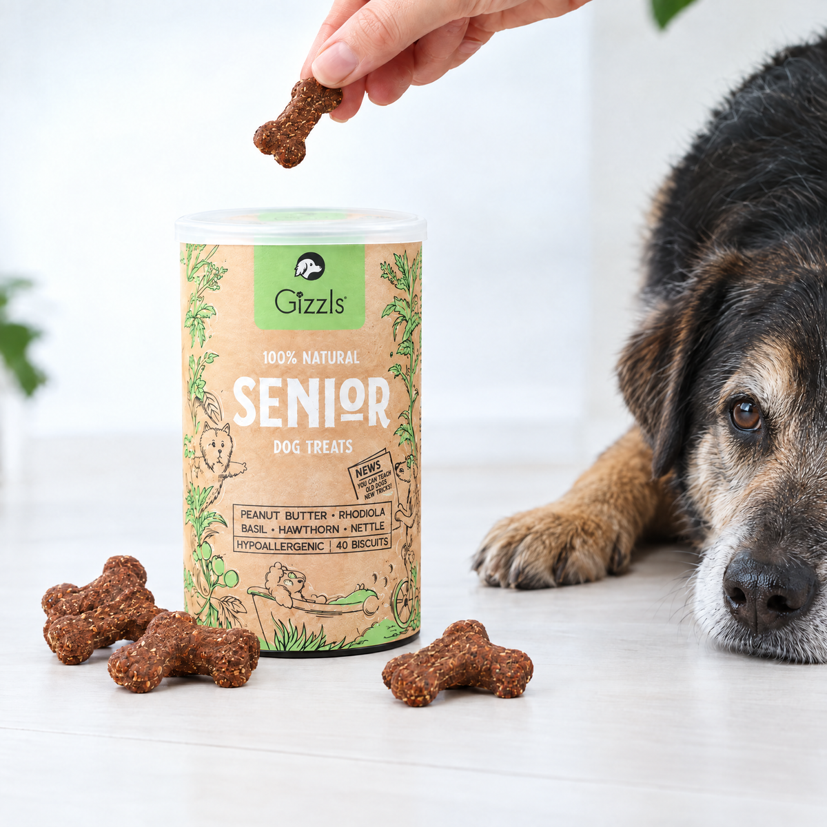 Tub of Senior Dog Treats by Gizzls with bone-shaped treats