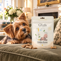 Yorkshire Terrier gazing longingly at a pack of Golden Bones Small Dog Treats by Gizzls