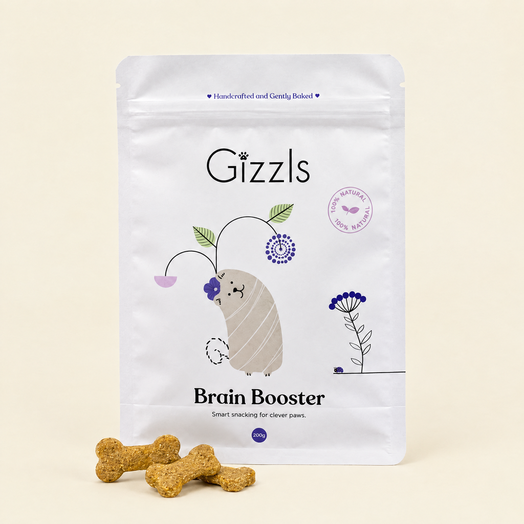 Pack of Brain Booster Big Dog Treats by Gizzls with bone-shaped treats on a cream background