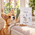 Pembroke Welsh Corgi gazing longingly at a pack of Brain Booster Big Dog Treats by Gizzls