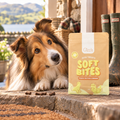 Rough Collie gazing at a pack of Gizzls Soft Bites Peanut Butter & Banana 300g