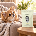 Chihuahua gazing at a pack of Gizzls Calming Soft Dog Treats