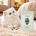 Persian cat gazing at a pack of Gizzls Hairball Control Soft Cat Treats