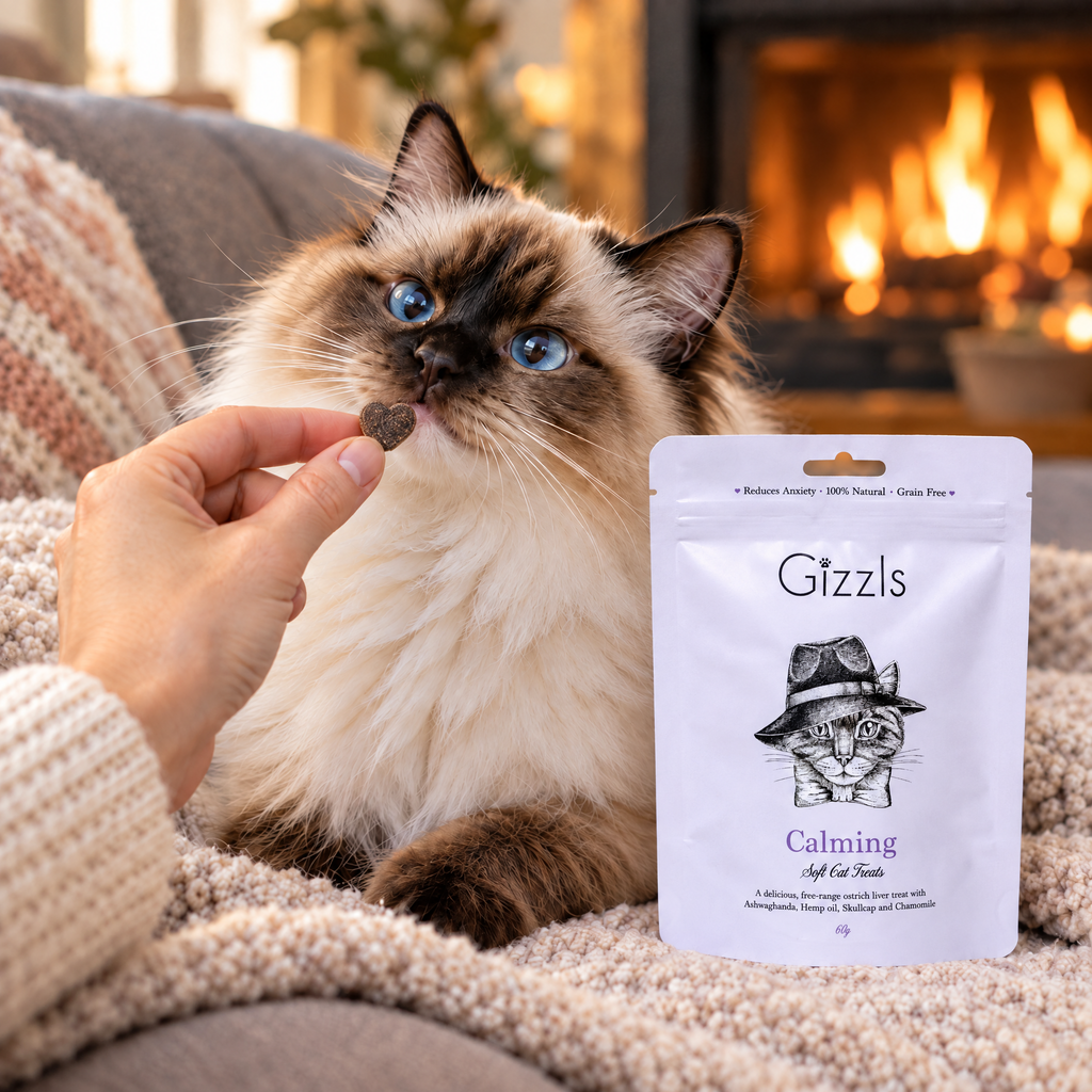 Birman cat being fed a Gizzls Calming Soft Cat Treats treat