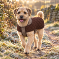 Border Terrier wearing the Foxbury Plaid Quilted Dog Coat on a frosty country path