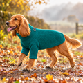 Cocker Spaniel in the Green Fleece Dog Coat on a misty autumn walk