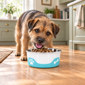 Border Terrier eating from the ThermaCool Cooling Dog Bowl in Azure Blue
