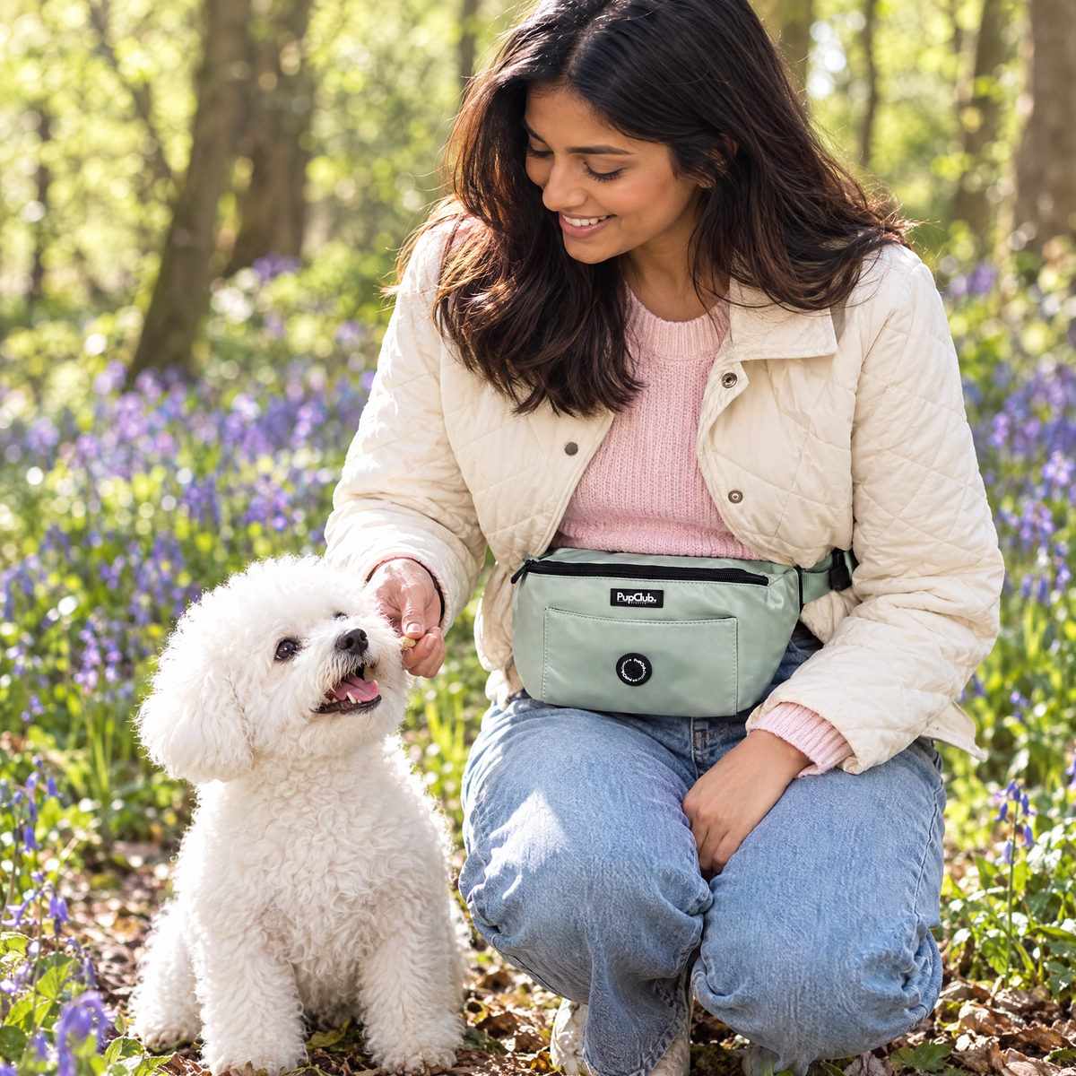 Woman giving her dog a treat from the Sage Green dog walking bum bag by PupClub Couture