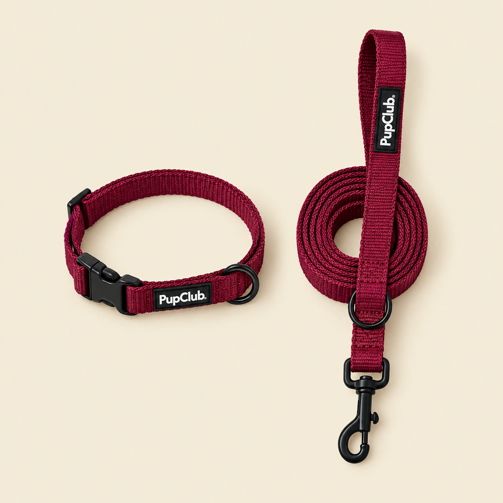 Berry Red puppy collar and lead set by PupClub Couture