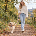 Puppy walking on the Pink puppy collar and lead set by PupClub Couture