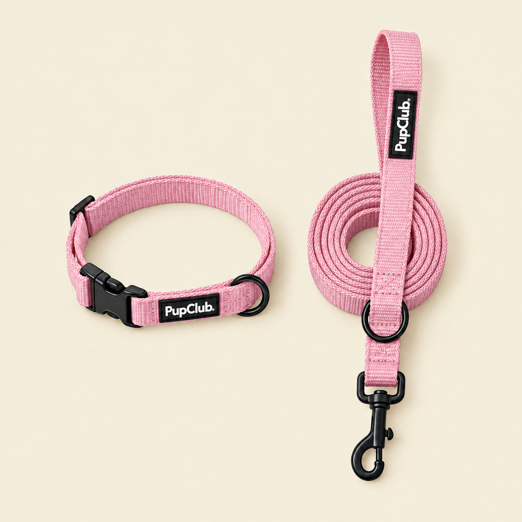Pink puppy collar and lead set by PupClub Couture