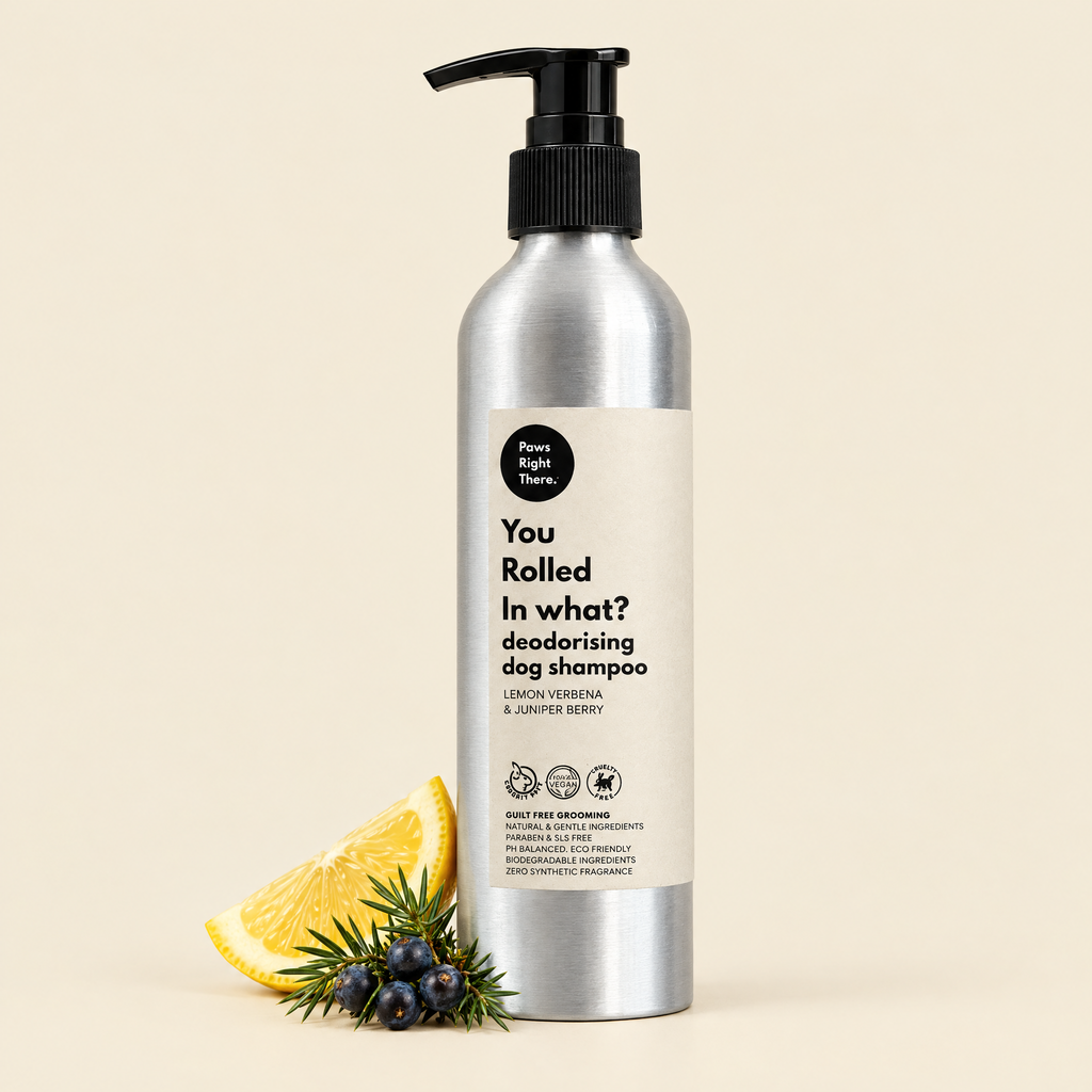 You Rolled in What?! deodorising dog shampoo 250ml by Paws Right There on cream with lemon and juniper
