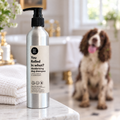 Muddy Springer Spaniel in a Georgian bathroom behind a bottle of You Rolled in What?! deodorising dog shampoo by Paws Right There