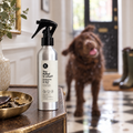 Soggy chocolate Labrador shaking off in a townhouse hallway behind a bottle of You Rolled in What?! fur spritz by Paws Right There