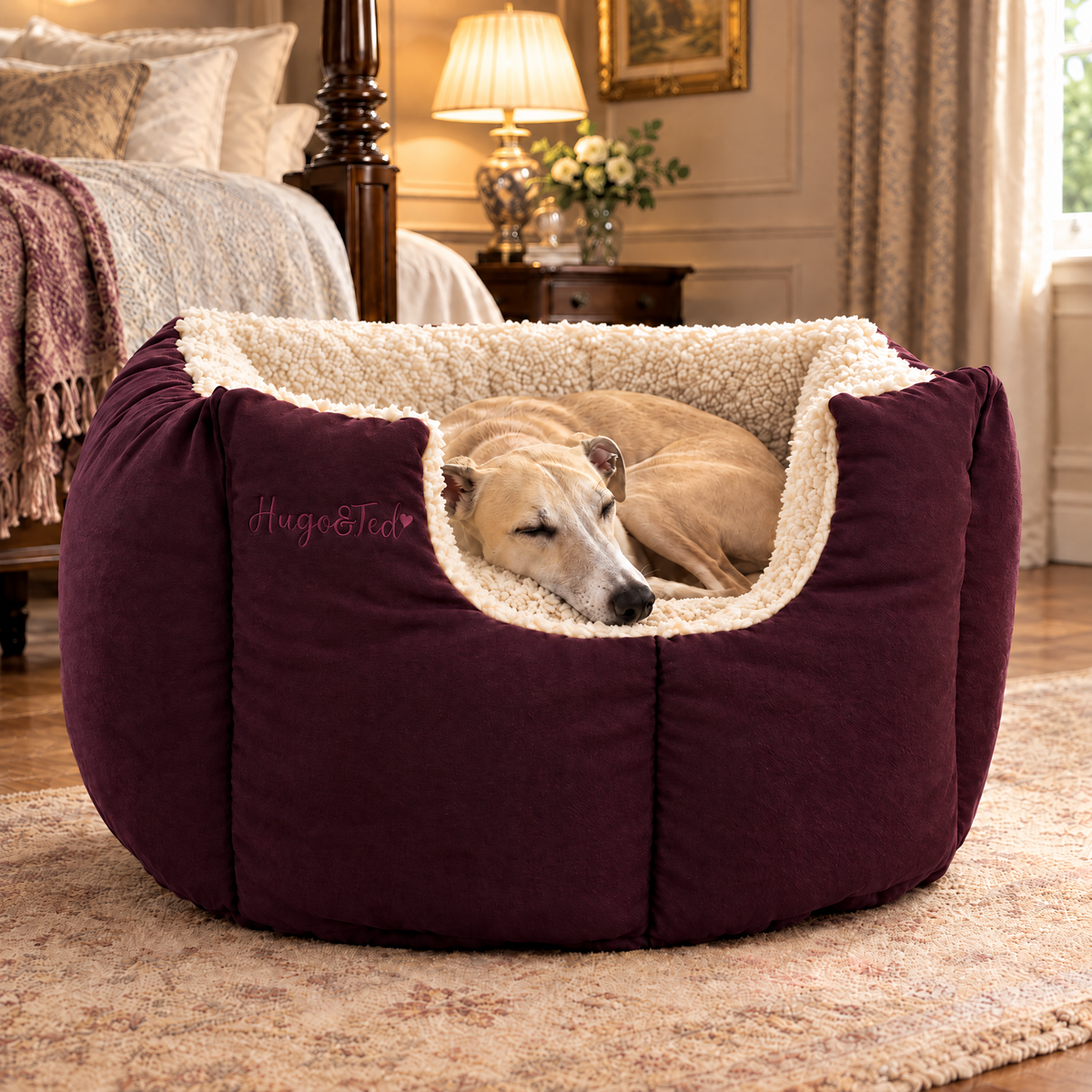 Whippet asleep in the Plum Fortress Bed in a Georgian bedroom